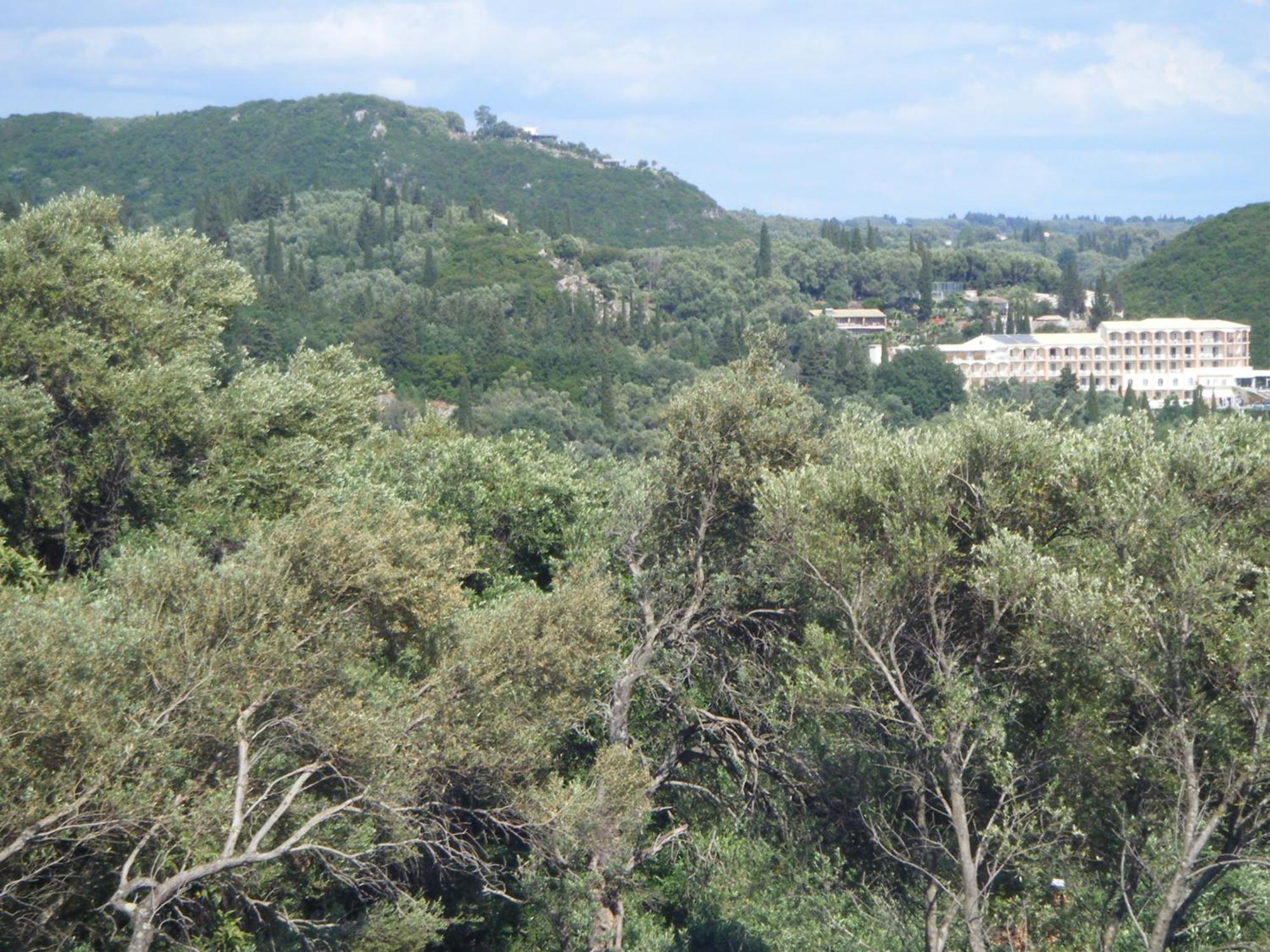 Paradise Διαμέρισμα